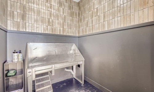 pet spa area